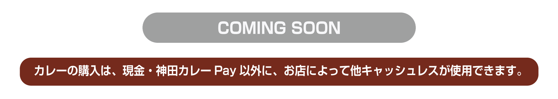 神田カレーpay